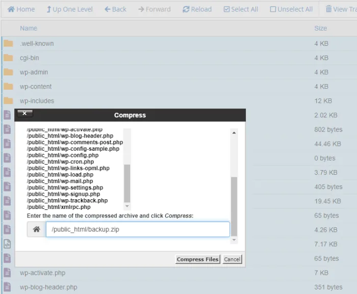 backup data web di file manager