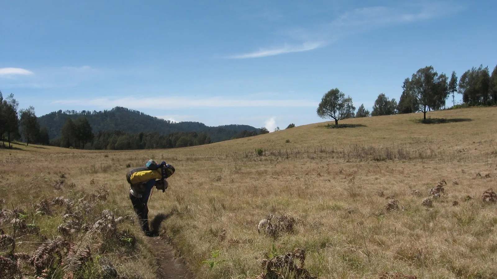 Cikasur Gunung Argopuro